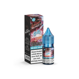 Twelve Monkeys - Iced - Nikotinsalz Liquid - Sanctuary